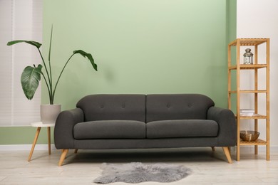 Photo of Stylish sofa, shelving unit and houseplant near green wall indoors