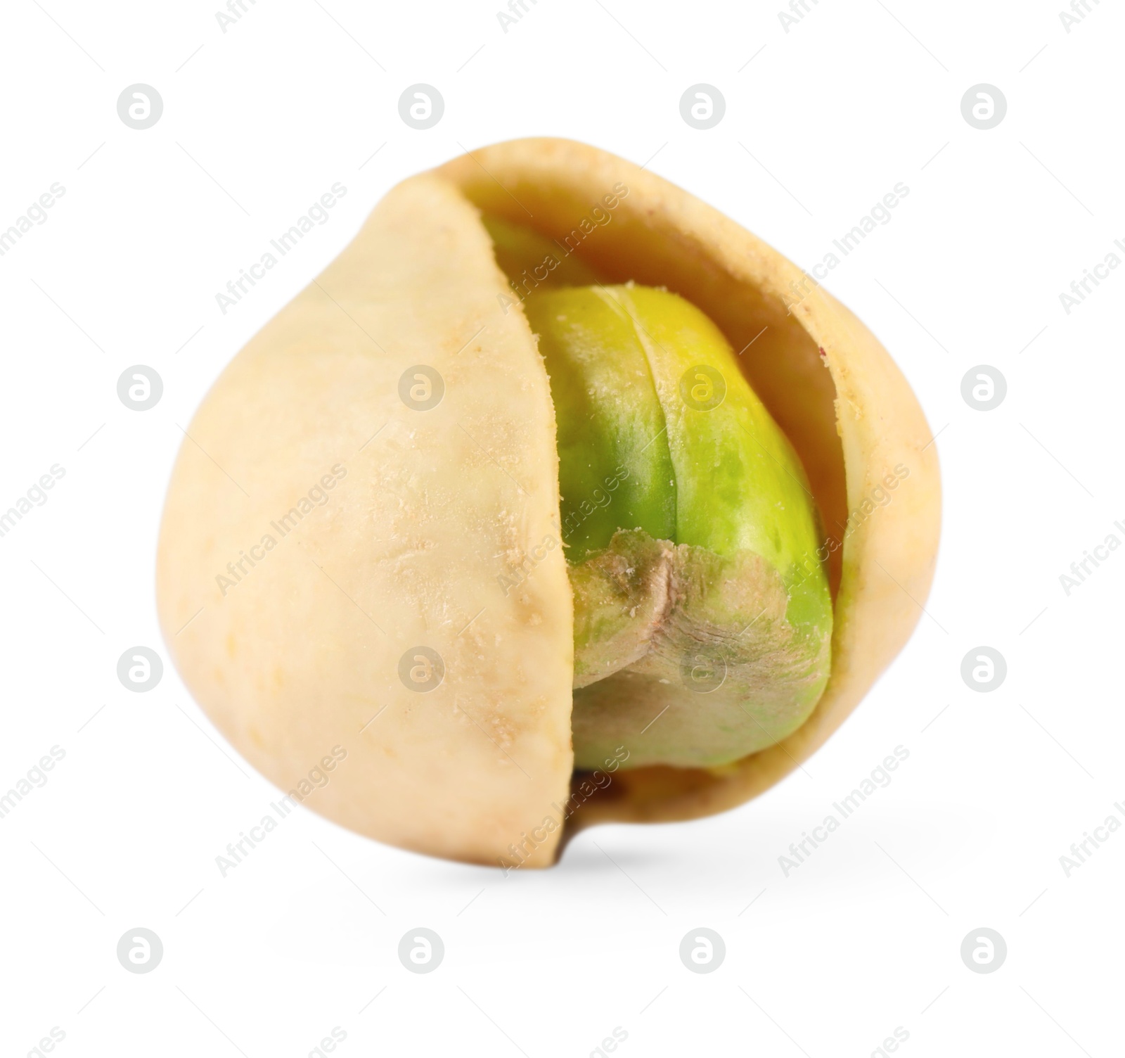 Photo of One tasty pistachio nut isolated on white