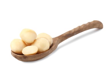 Photo of Spoon with macadamia nuts isolated on white