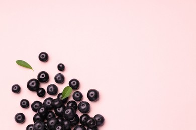 Photo of Ripe acai berries and leaves on pink background, flat lay. Space for text