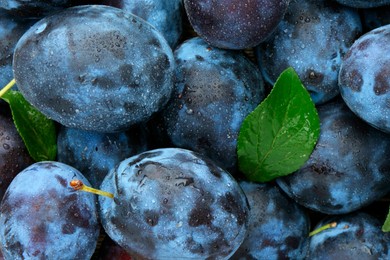 Photo of Many fresh plums and leaves with water drops as background, top view