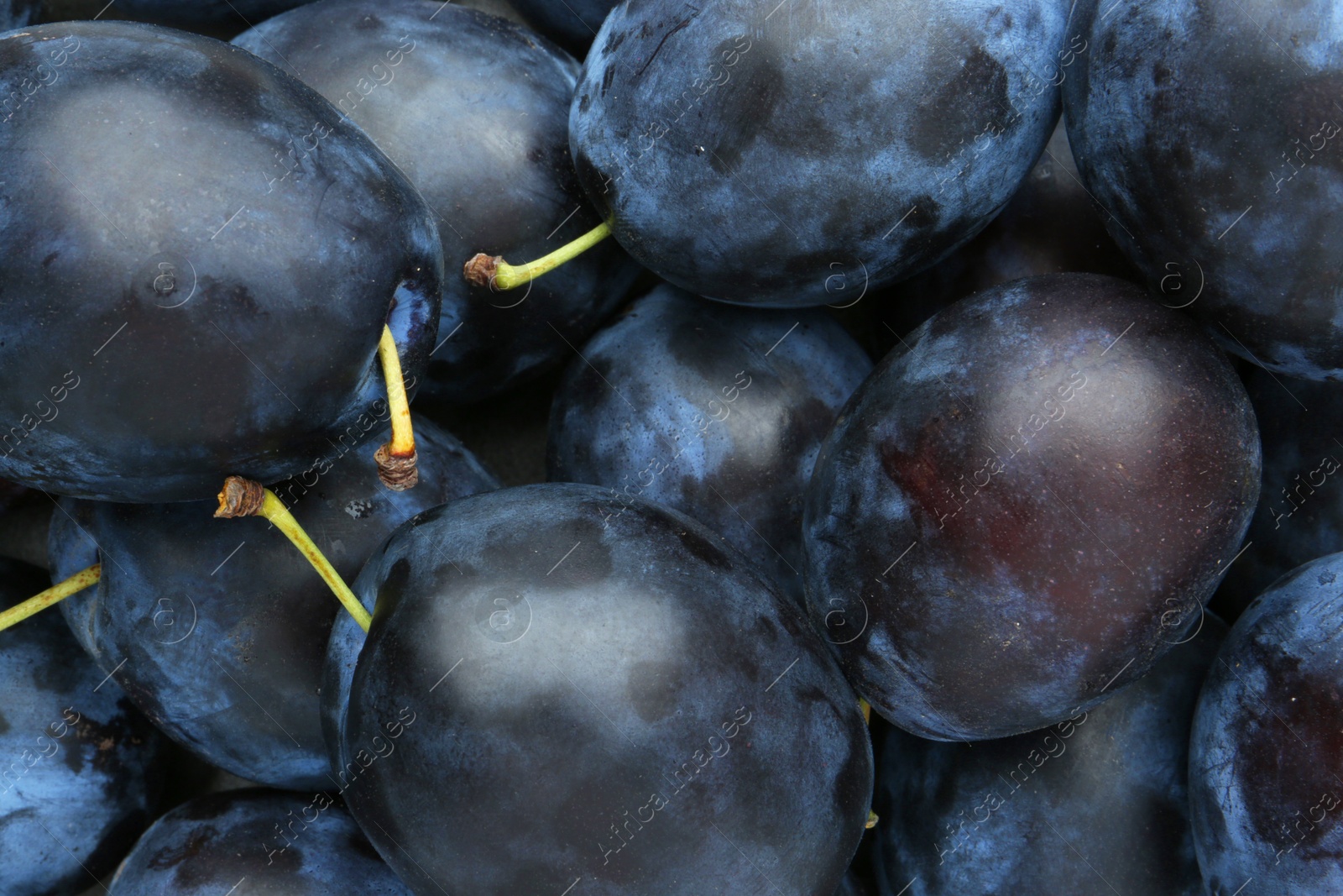 Photo of Many fresh plums as background, top view