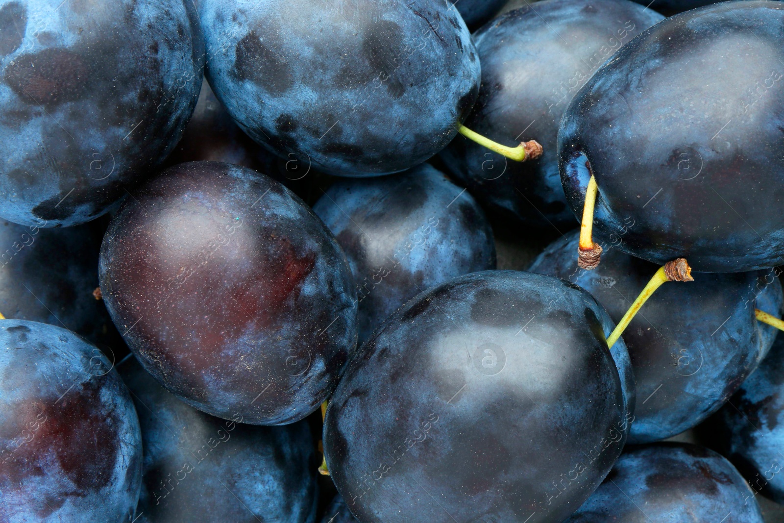 Photo of Many fresh plums as background, top view