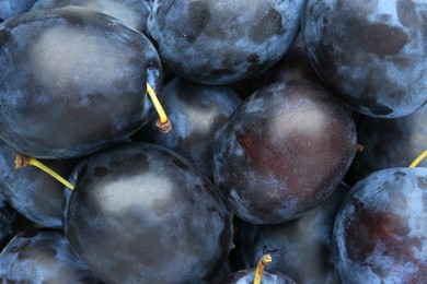 Photo of Many fresh plums as background, top view