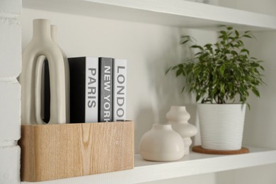 Ceramic vases, books and houseplant on shelving unit