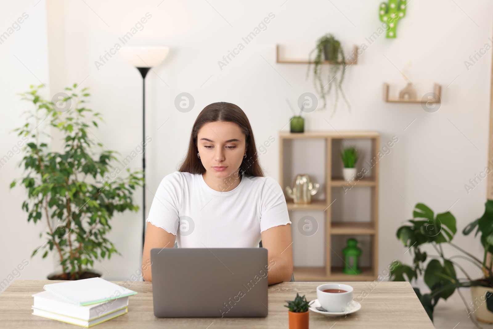 Photo of Student studying with laptop at wooden table indoors