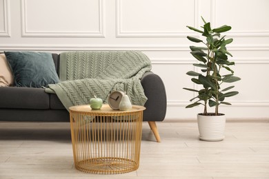 Photo of Comfortable gray sofa with cushions and blanket in living room. Interior design