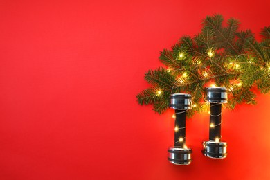 Photo of Dumbbells and fir tree branches with Christmas lights on red background, flat lay. Space for text