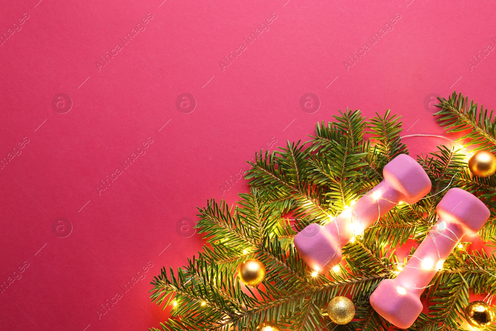 Photo of Dumbbells, fir tree branches and Christmas lights on bright pink background, top view. Space for text