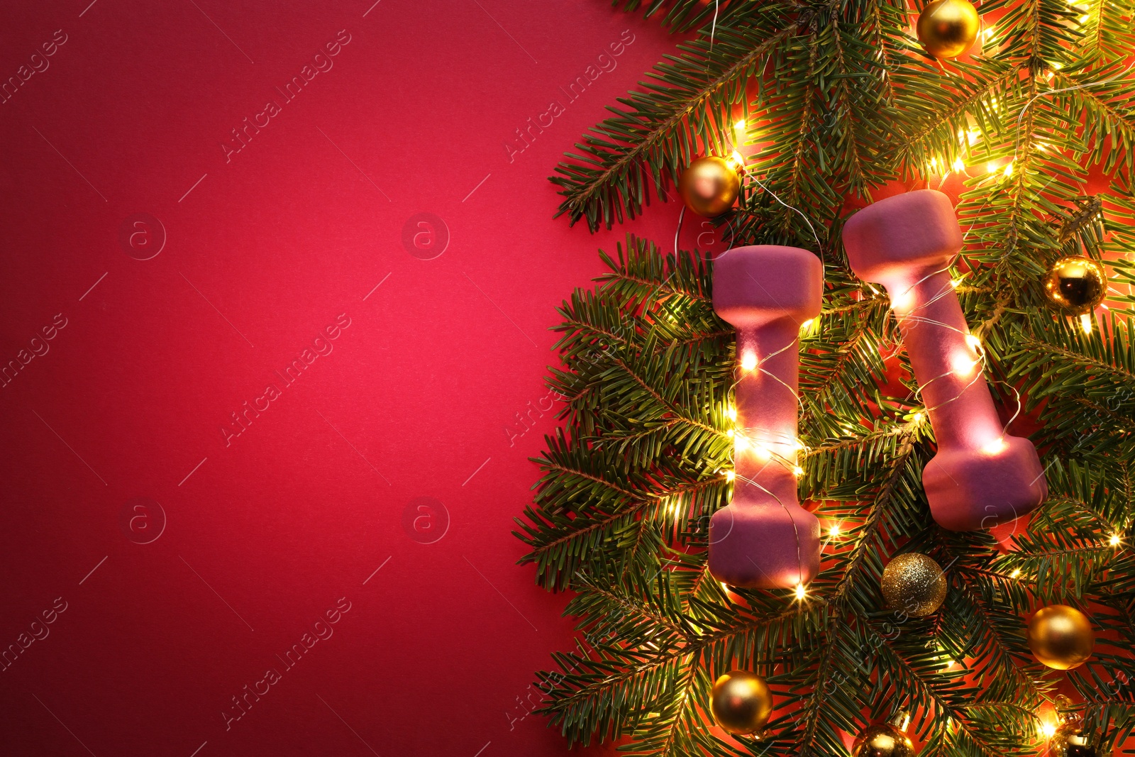 Photo of Dumbbells, fir tree branches and Christmas lights on bright pink background, top view. Space for text