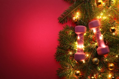 Photo of Dumbbells, fir tree branches and Christmas lights on bright pink background, top view. Space for text