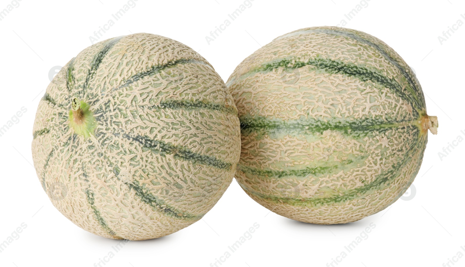 Photo of Two whole Cantaloupe melons isolated on white