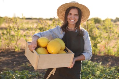 Photo of Smiling woman holding wooden crate of ripe melons in field