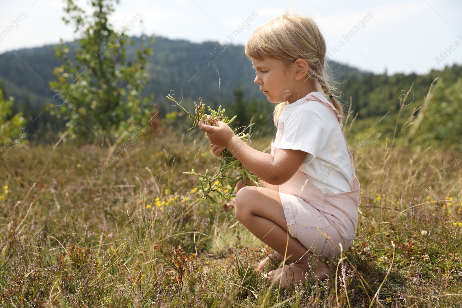 Photo of Cute little girl picking flowers at meadow. Child enjoying beautiful nature