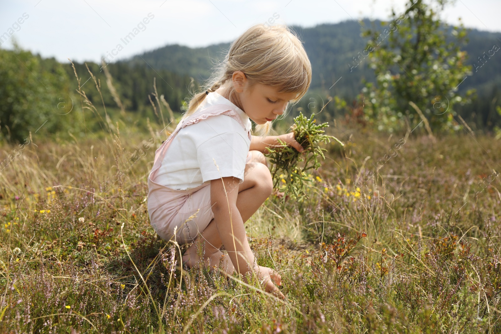 Photo of Cute little girl picking flowers at meadow. Child enjoying beautiful nature