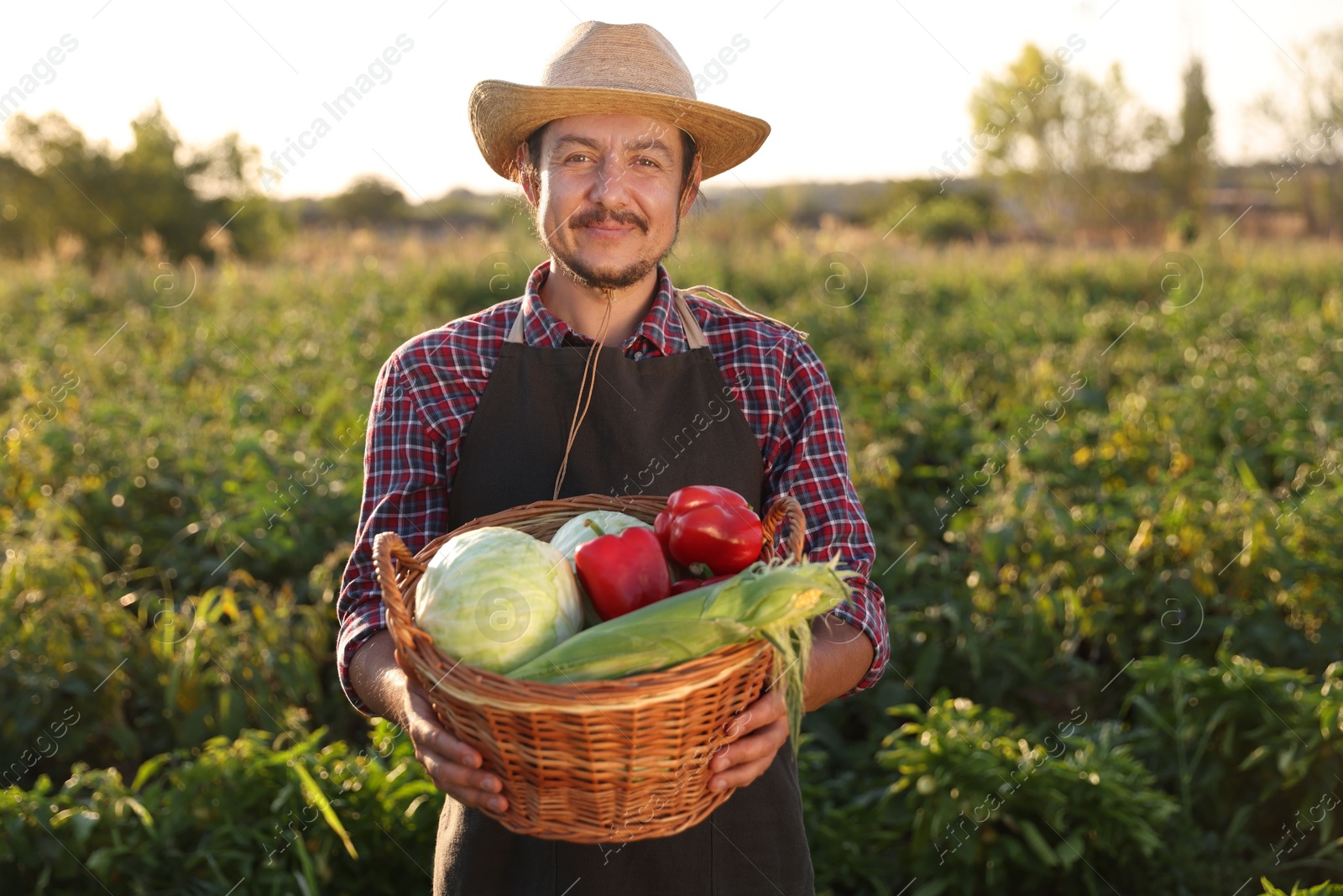 Photo of Harvesting season. Farmer with wicker basket of fresh vegetables in field on sunny day