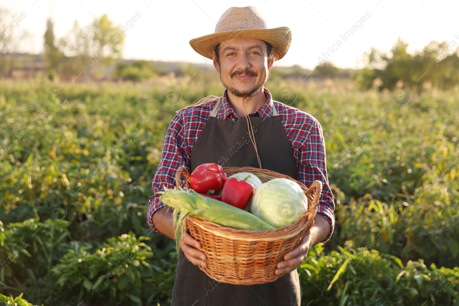 Photo of Harvesting season. Farmer with wicker basket of fresh vegetables in field on sunny day