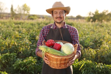 Harvesting season. Farmer with wicker basket of fresh vegetables in field on sunny day