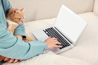 Photo of Online pet shop. Woman with laptop making order and cute cat on sofa at home, closeup