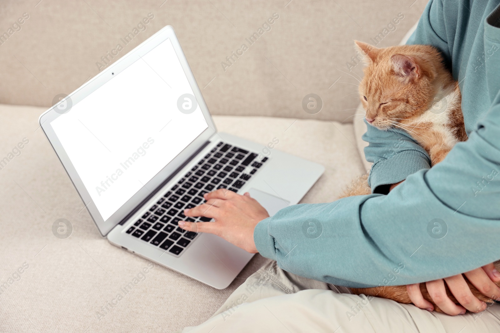 Photo of Online pet shop. Woman with laptop making order and cute cat on sofa at home, closeup