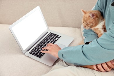 Photo of Online pet shop. Woman with laptop making order and cute cat on sofa at home, closeup