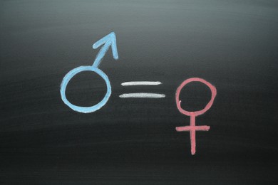 Photo of Equals sign between female and male gender symbols drawn on chalkboard, top view