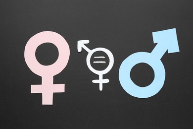 Equality concept. Male and female gender signs on chalkboard, flat lay