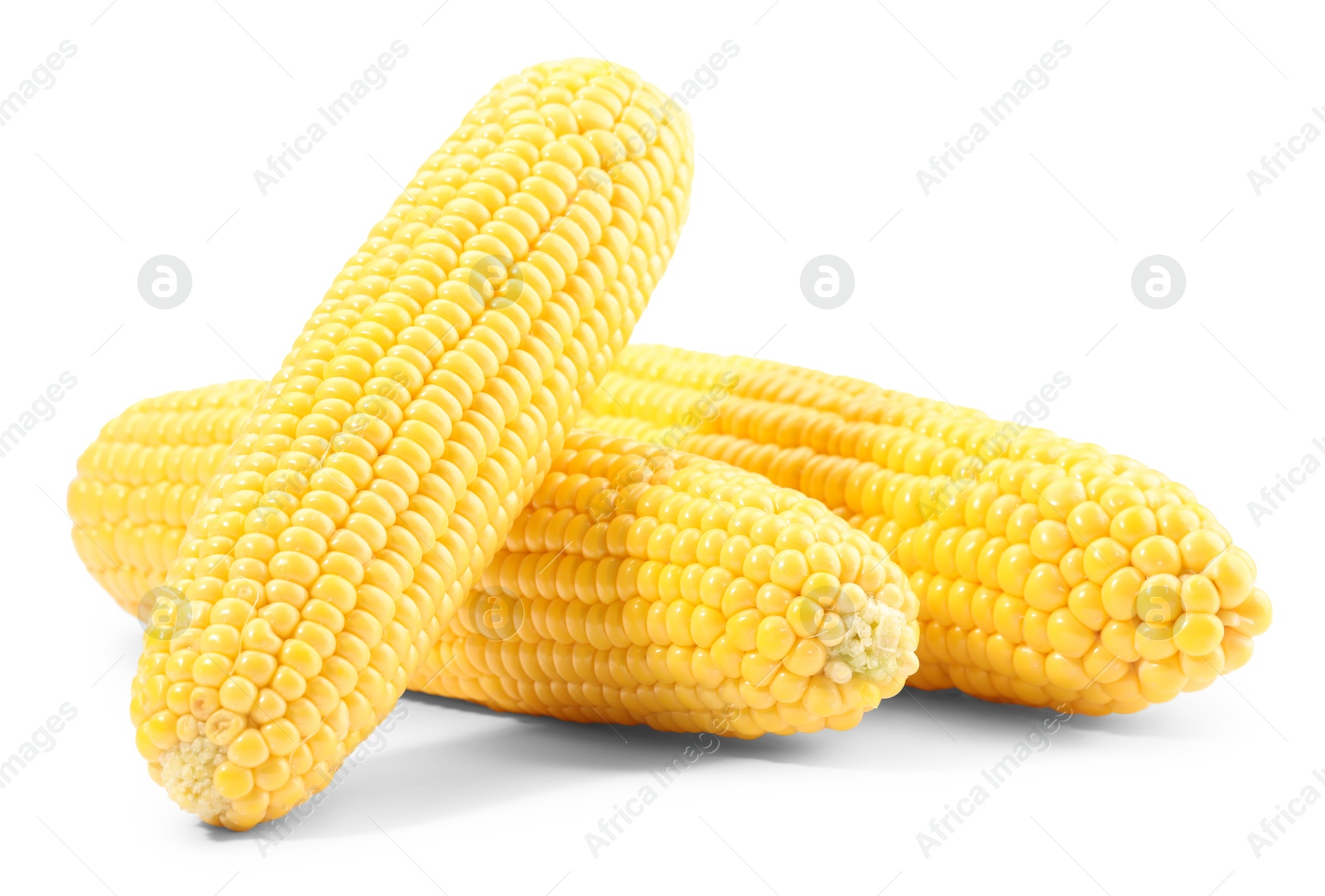 Photo of Many fresh ripe corncobs isolated on white