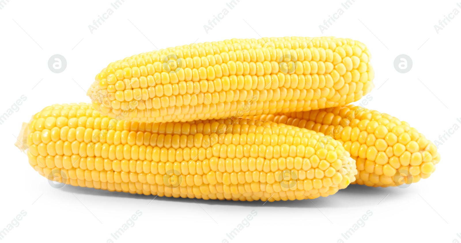 Photo of Many fresh ripe corncobs isolated on white