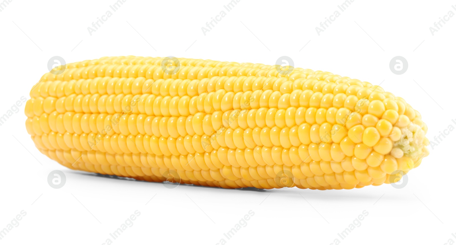 Photo of One fresh ripe corncob isolated on white