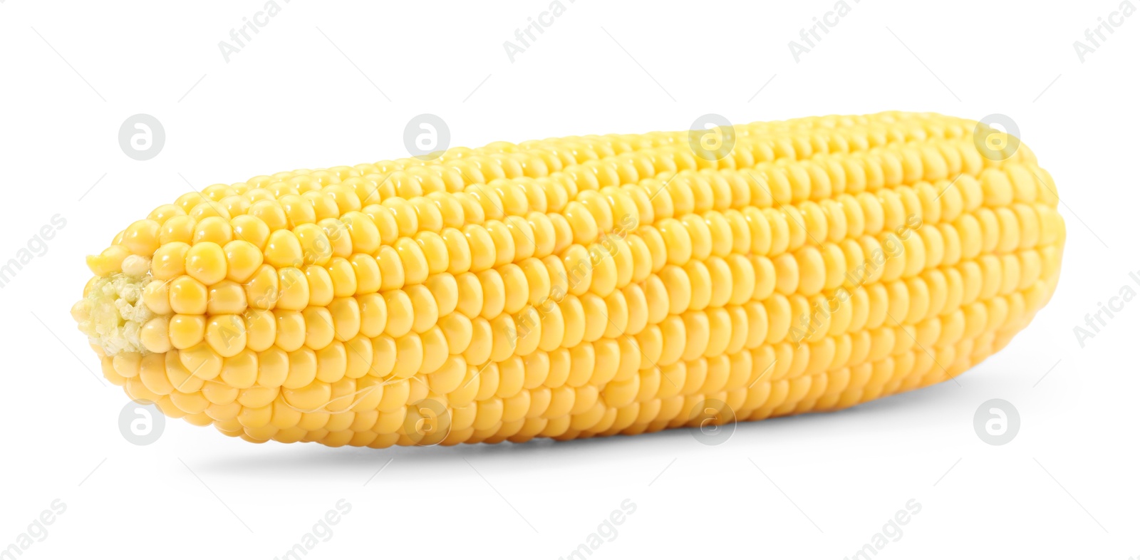 Photo of One fresh ripe corncob isolated on white