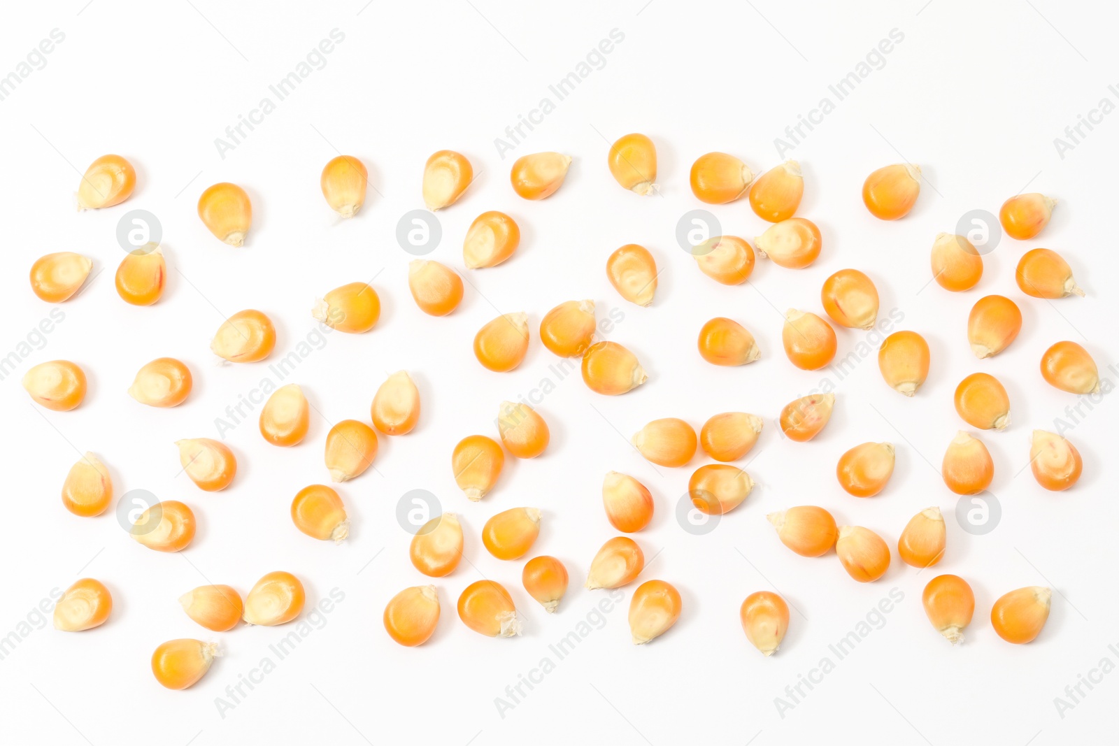 Photo of Many fresh corn kernels on white background, flat lay