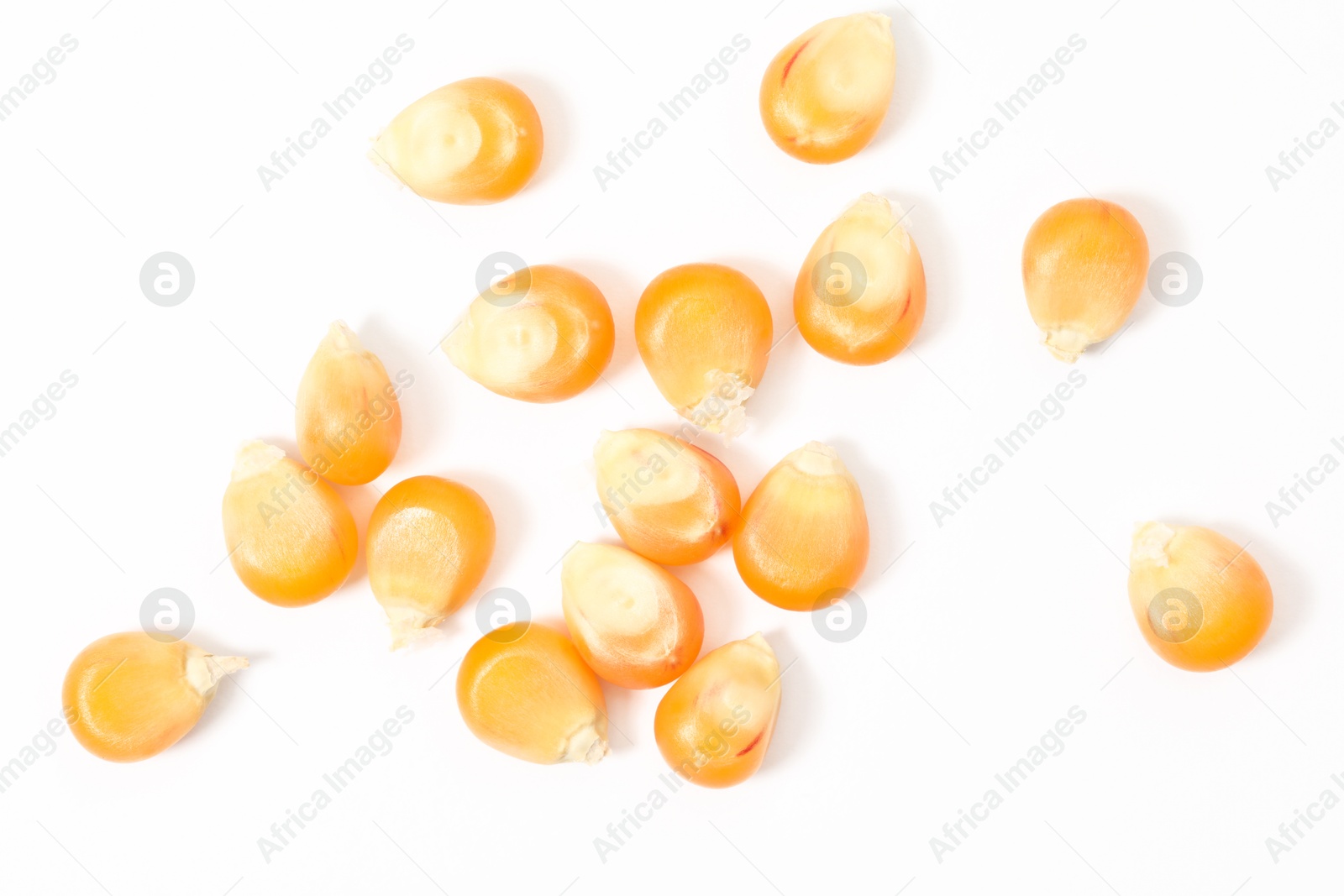 Photo of Many fresh corn kernels on white background, flat lay