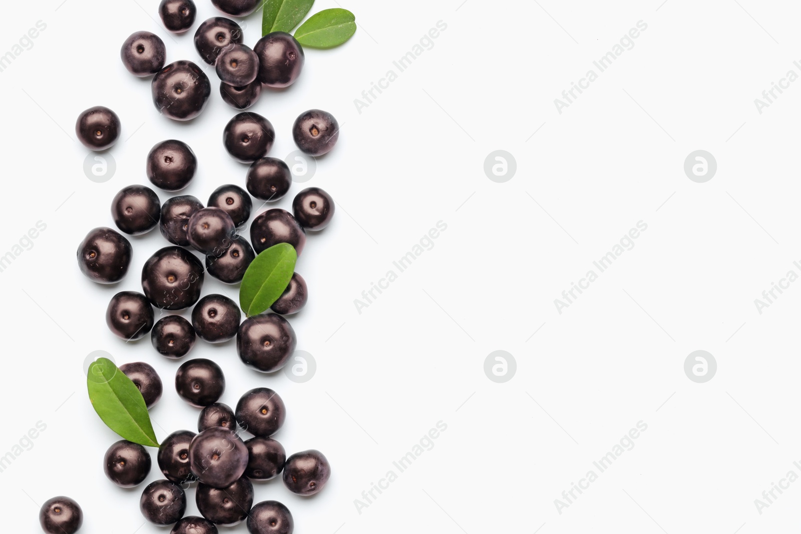 Photo of Ripe acai berries and leaves on white background, flat lay. Space for text