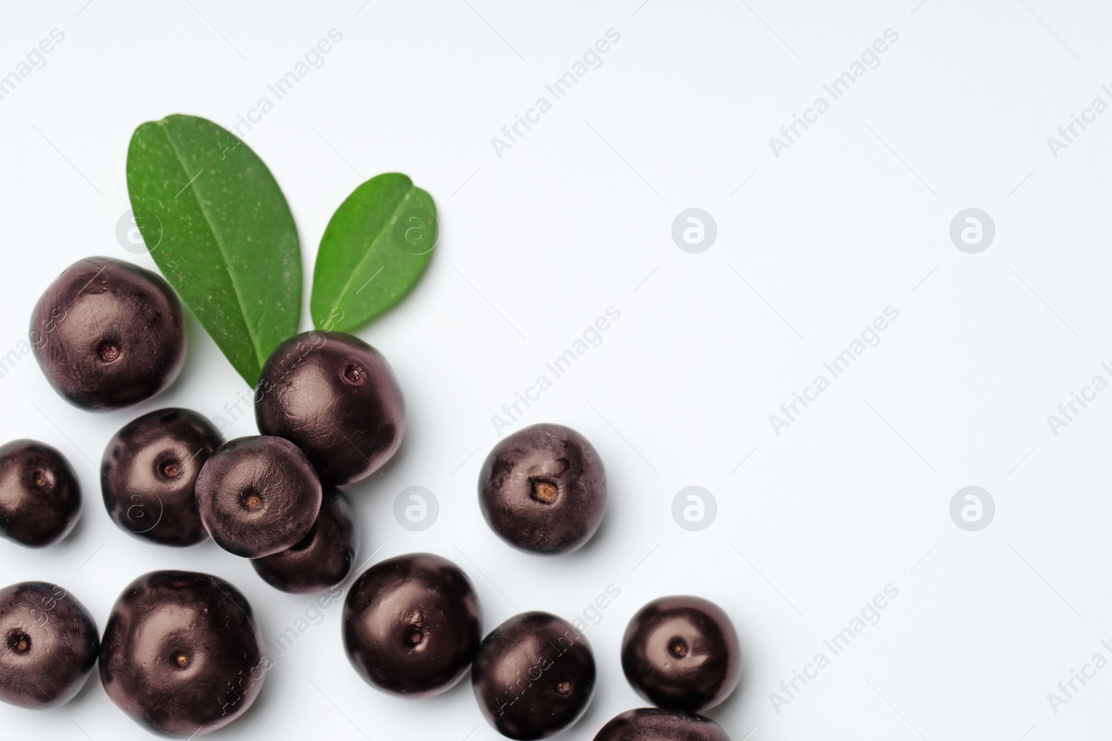 Photo of Ripe acai berries and leaves on white background, flat lay. Space for text