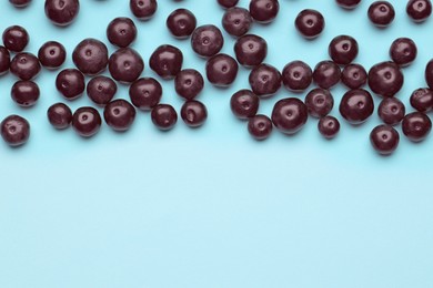 Ripe acai berries on light blue background, flat lay. Space for text