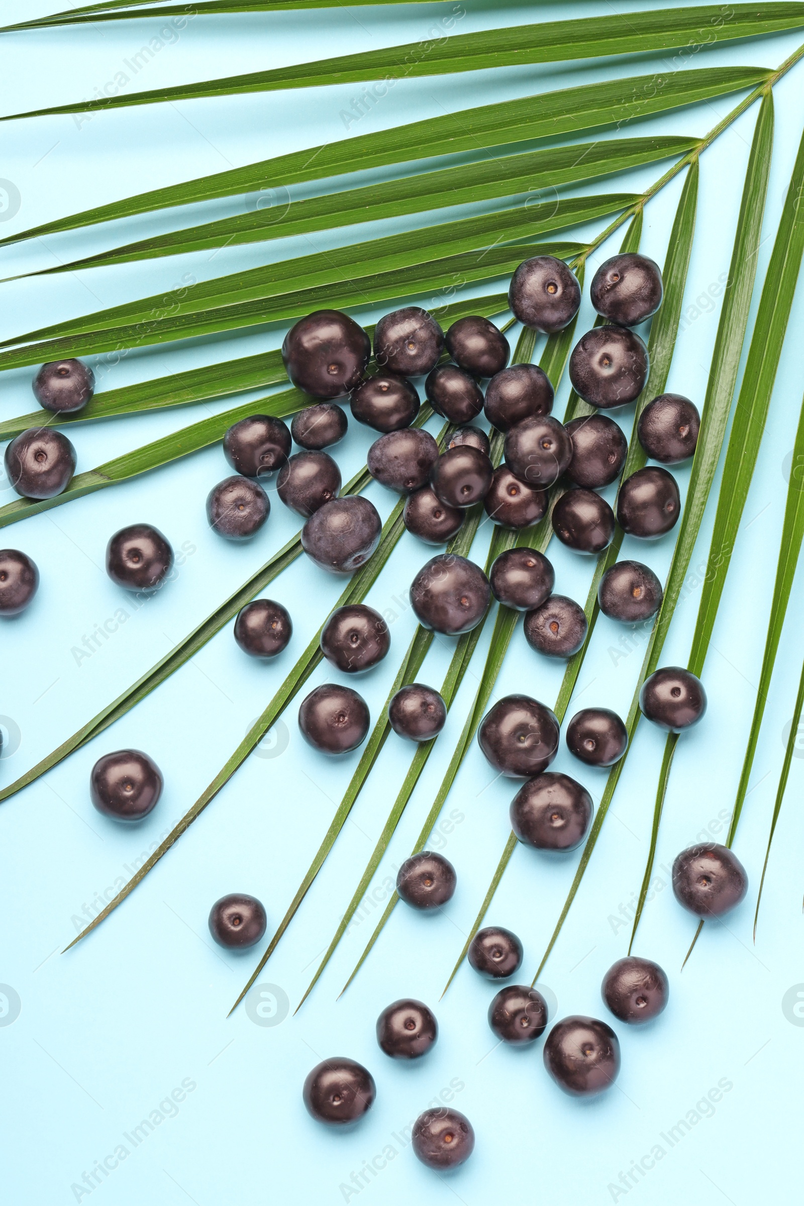 Photo of Ripe acai berries and palm leaves on light blue background, flat lay