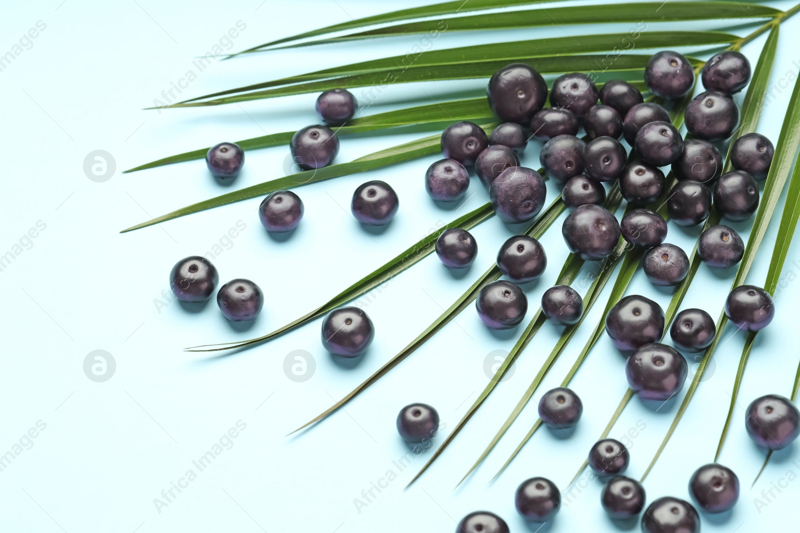 Photo of Ripe acai berries and palm leaves on light blue background