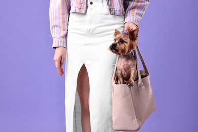 Photo of Woman carrying cute Yorkshire Terrier dog in bag on violet background, closeup