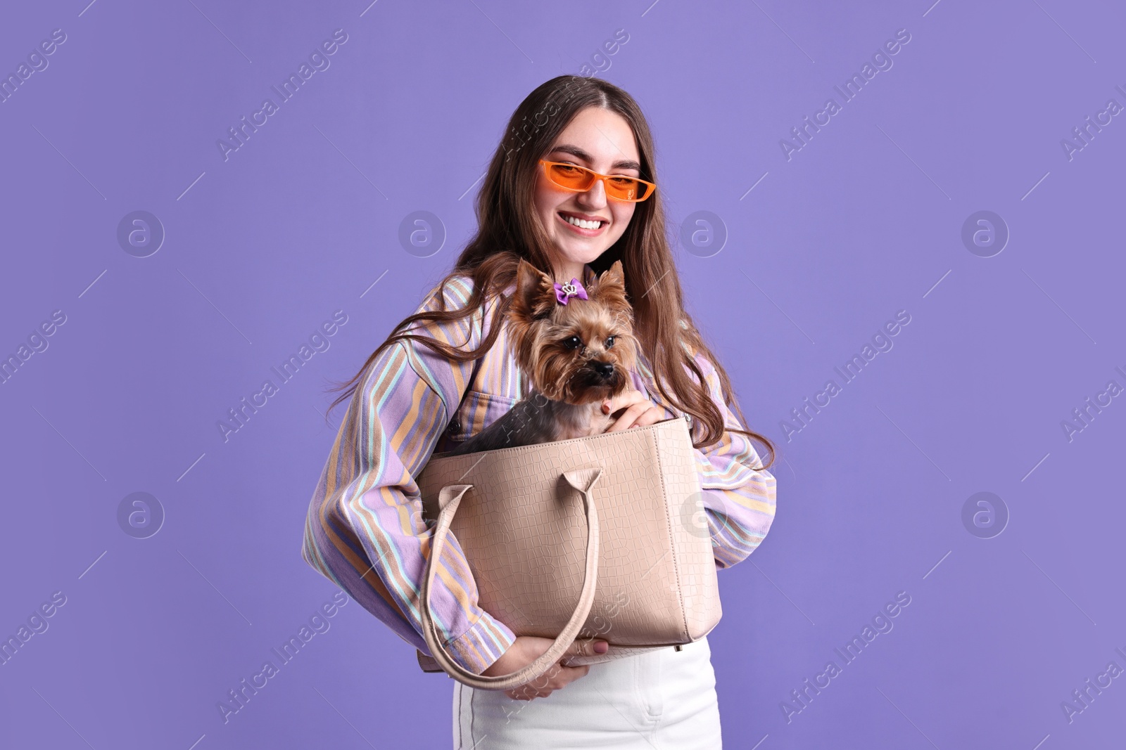 Photo of Beautiful young woman carrying cute Yorkshire Terrier dog in bag on violet background