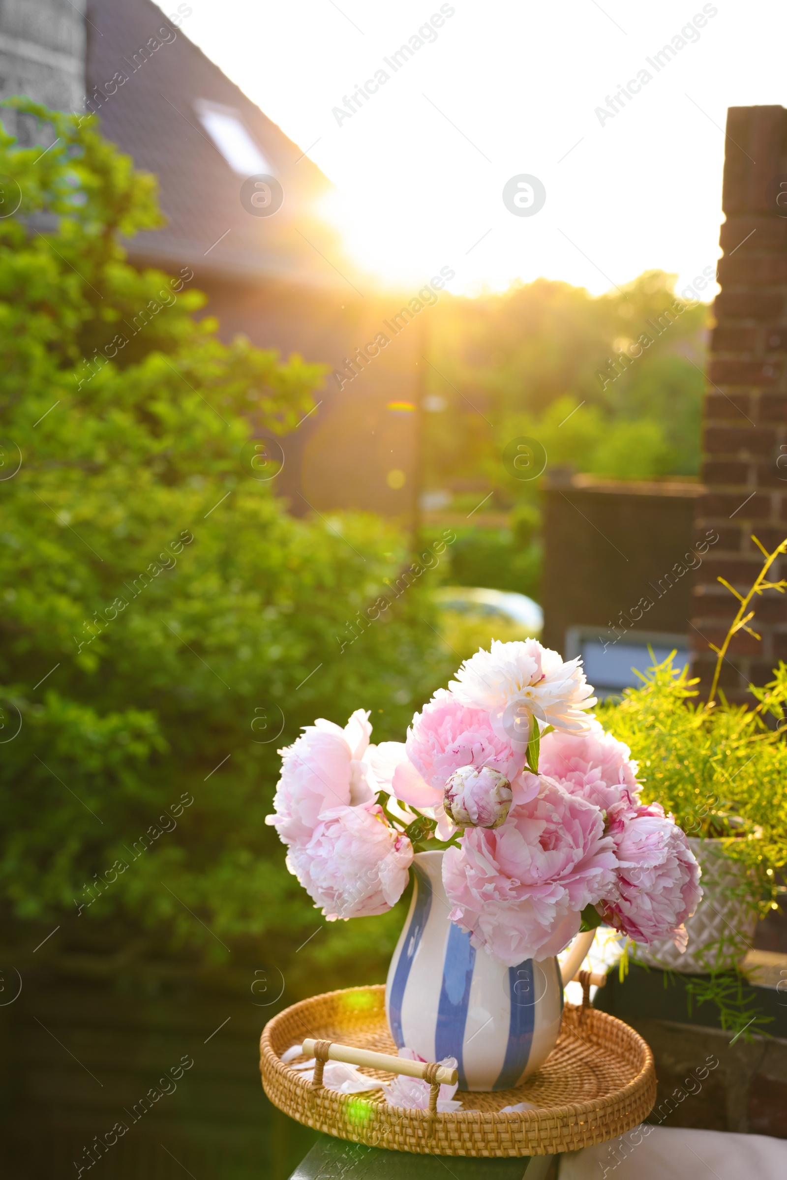 Photo of Beautiful pink peony flowers in vase on balcony railing outdoors. Space for text