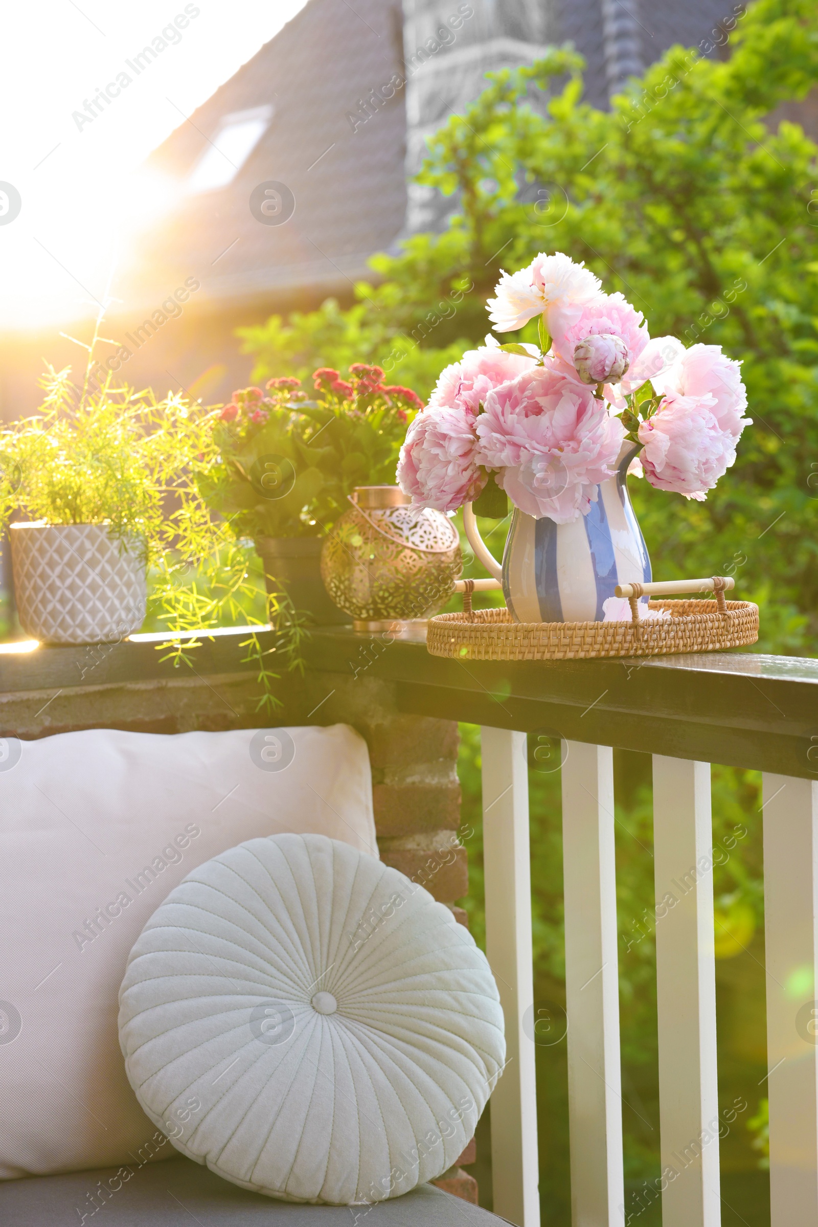 Photo of Balcony garden. Different plants on railings outdoors on sunny day