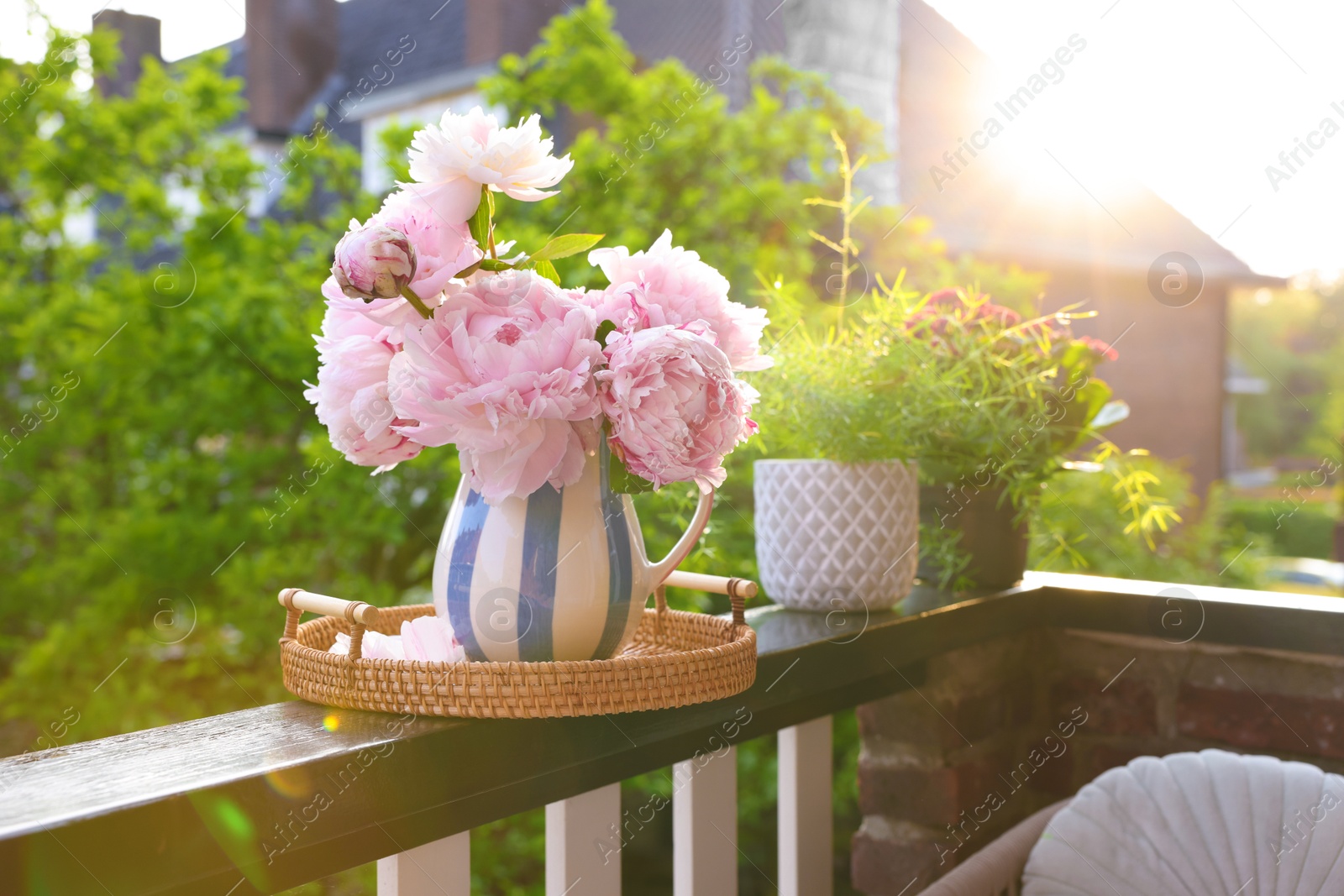 Photo of Balcony garden. Different plants on railings outdoors on sunny day