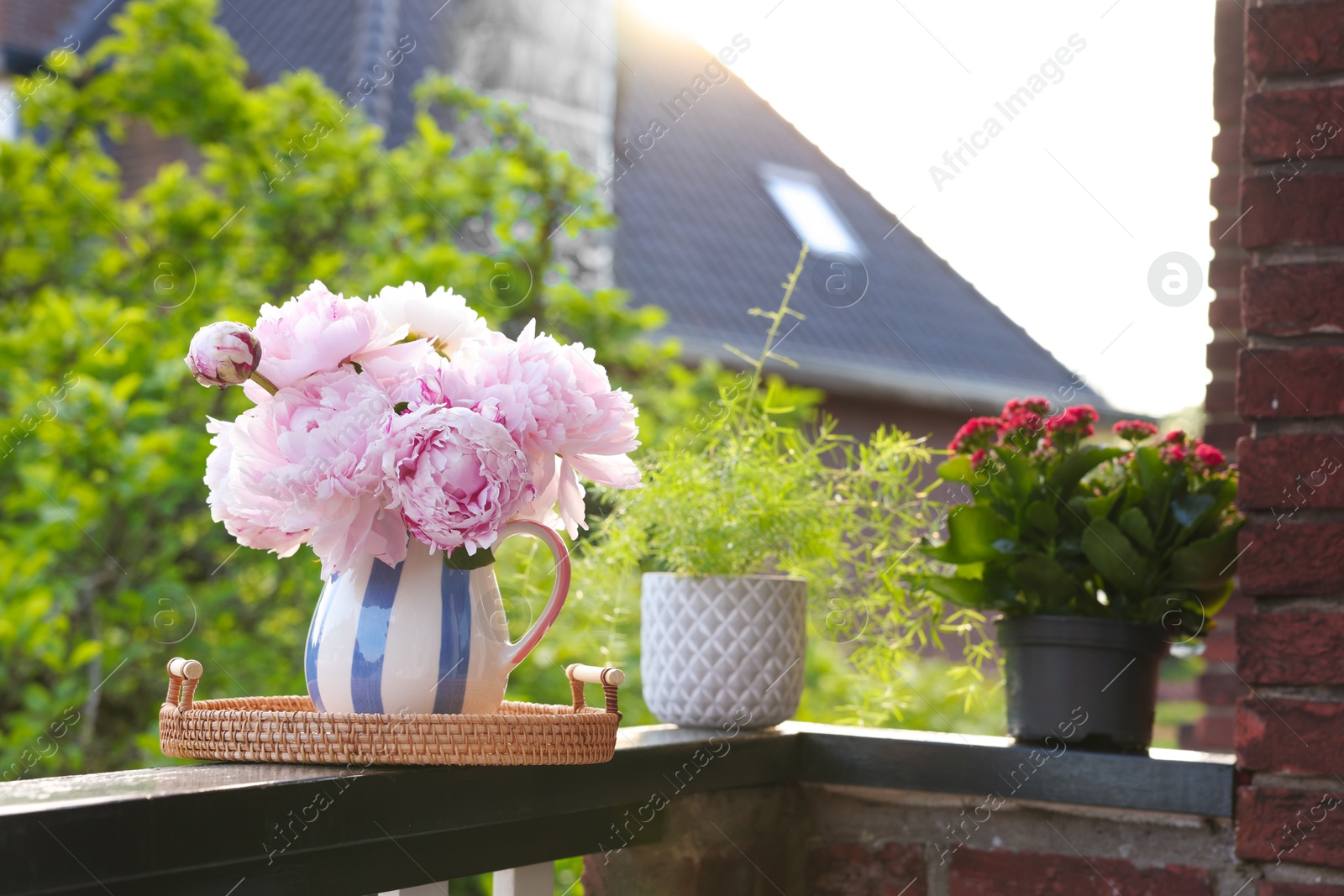 Photo of Balcony garden. Different plants growing on railings outdoors