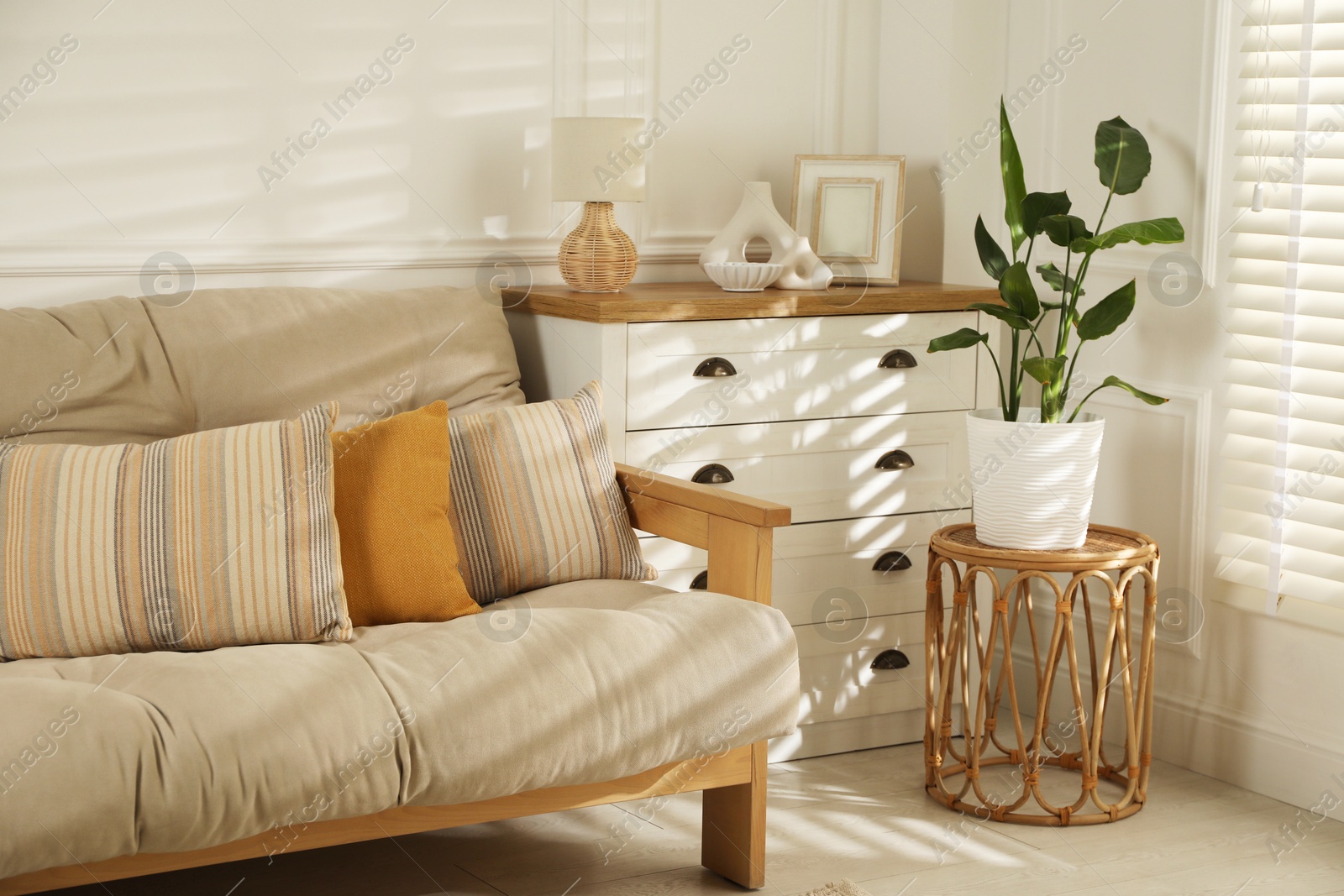 Photo of Sofa with soft pillows, chest of drawers, different decorative elements and houseplant indoors