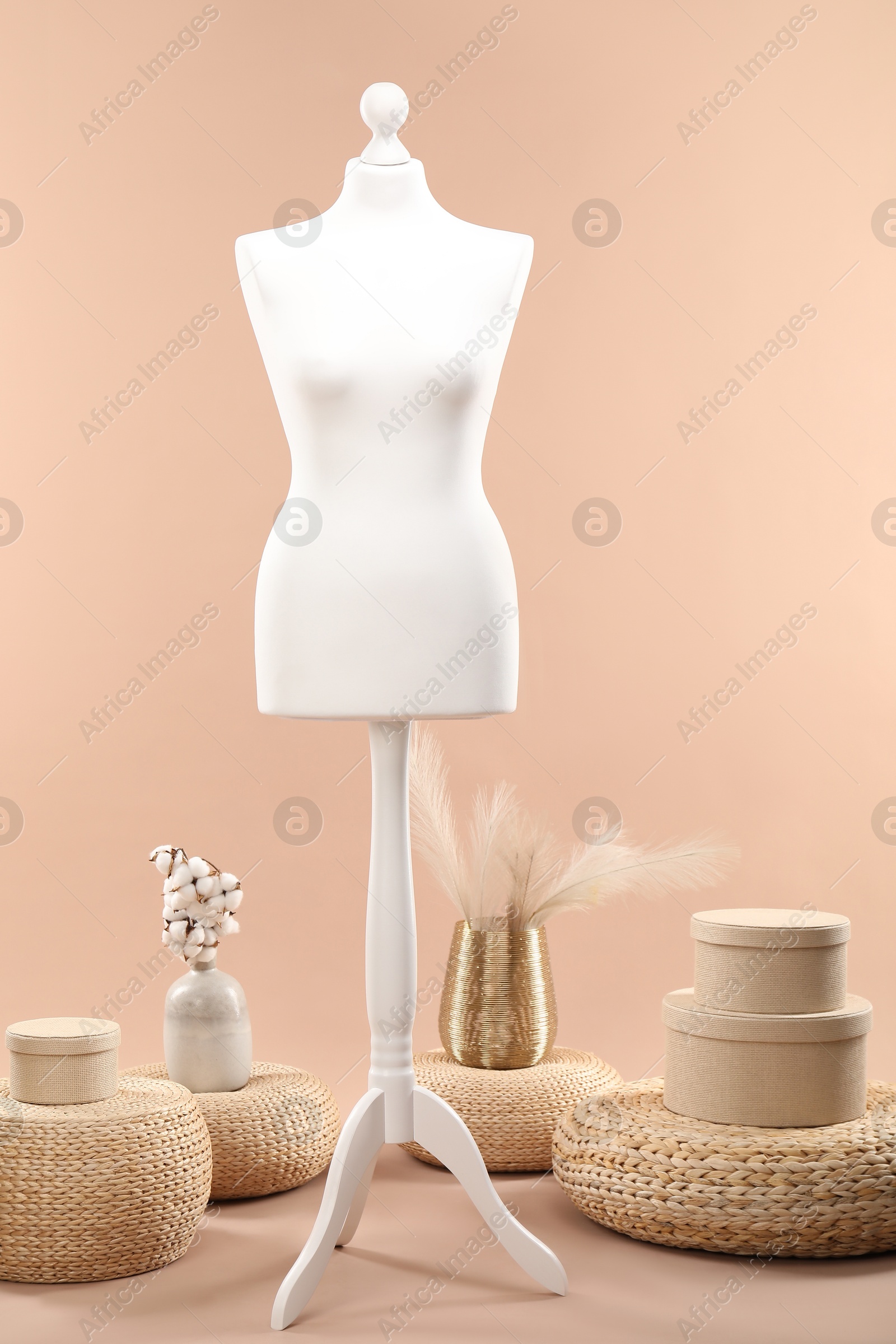 Photo of One female mannequin, poufs, decorative plants and boxes on beige background