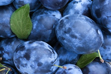 Photo of Many fresh plums and leaves as background, top view