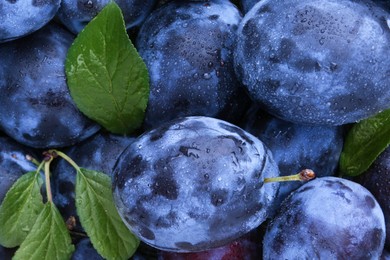 Photo of Many fresh plums and leaves with water drops as background, top view