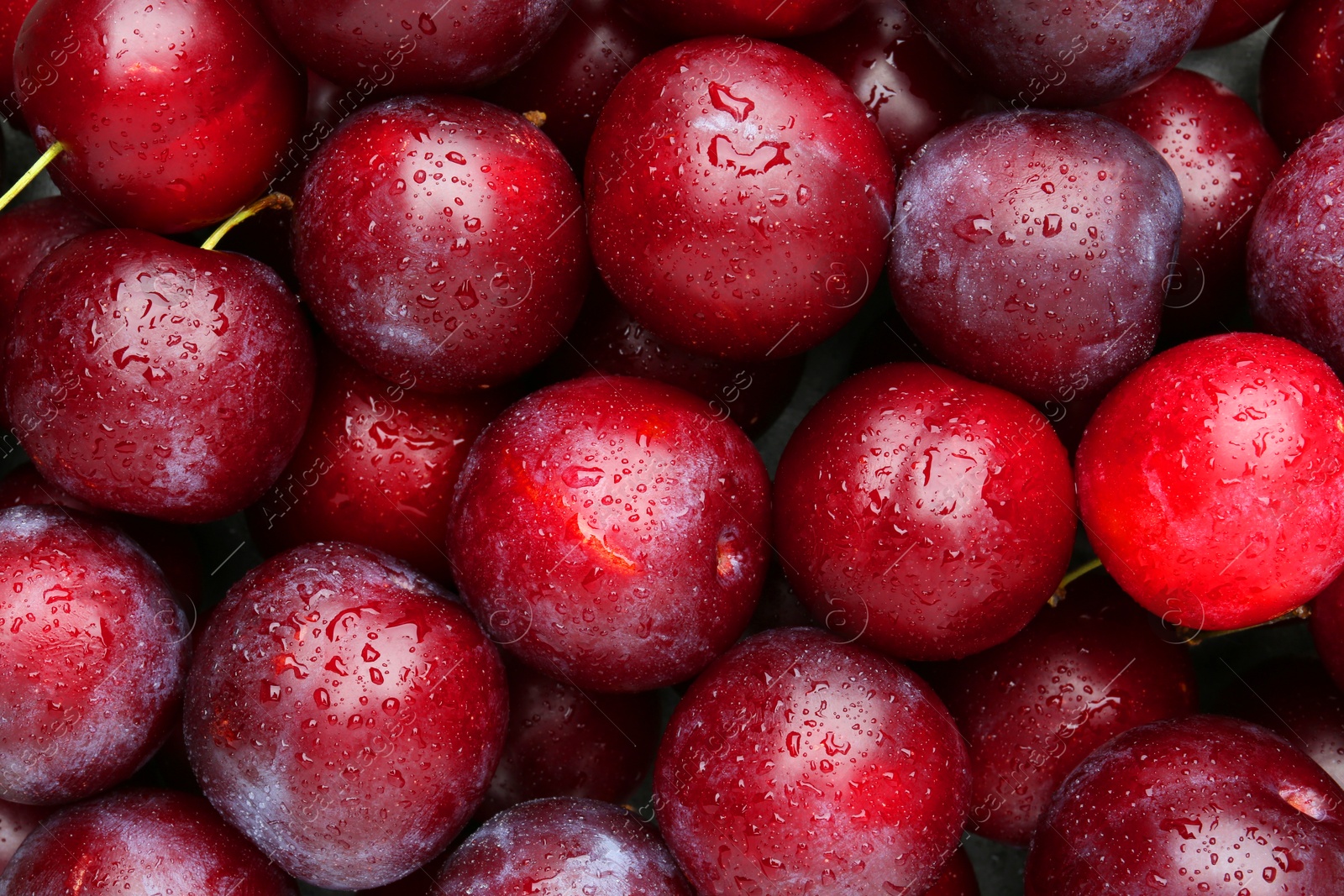 Photo of Many fresh plums with water drops as background, top view