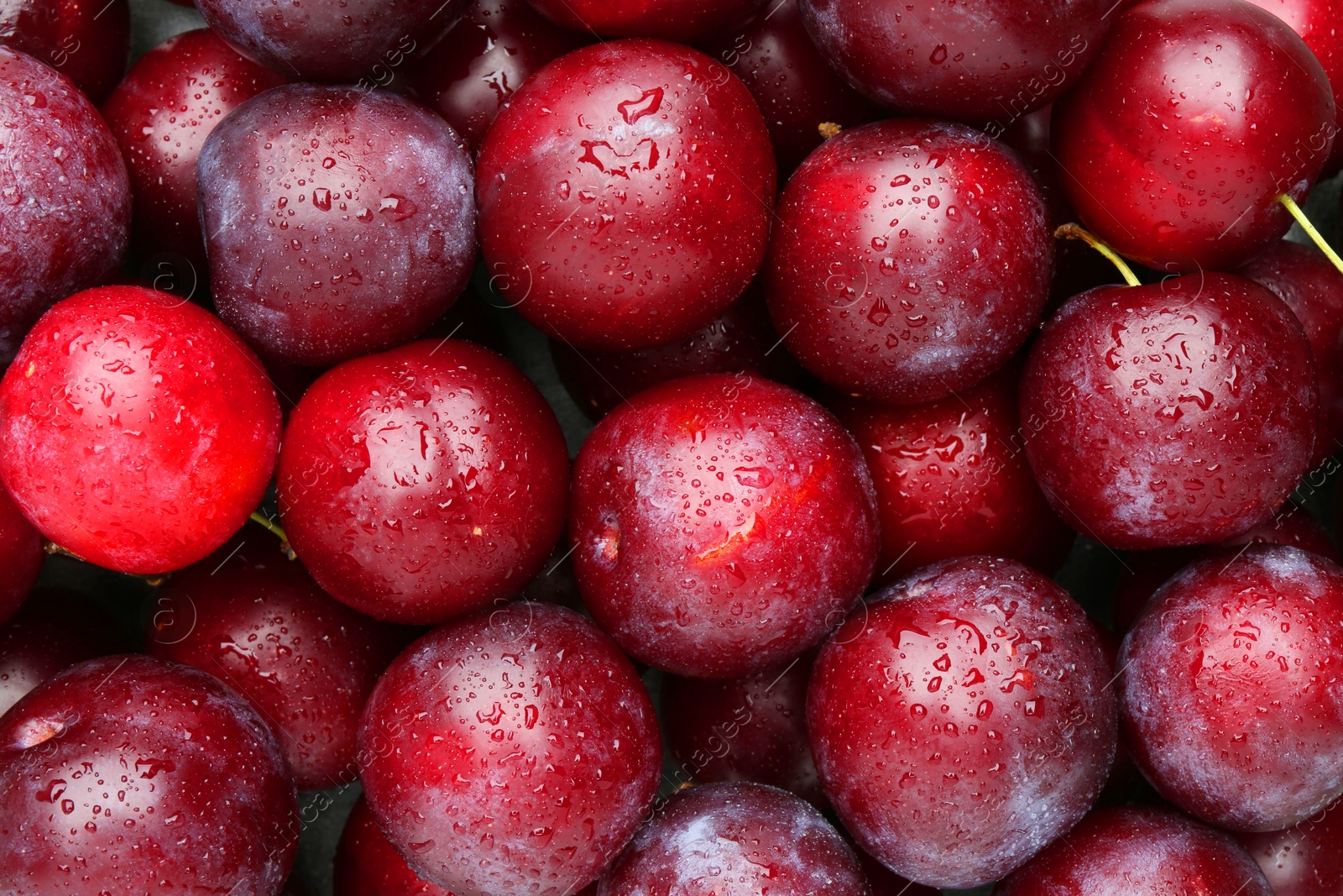 Photo of Many fresh plums with water drops as background, top view